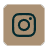 instagram icon